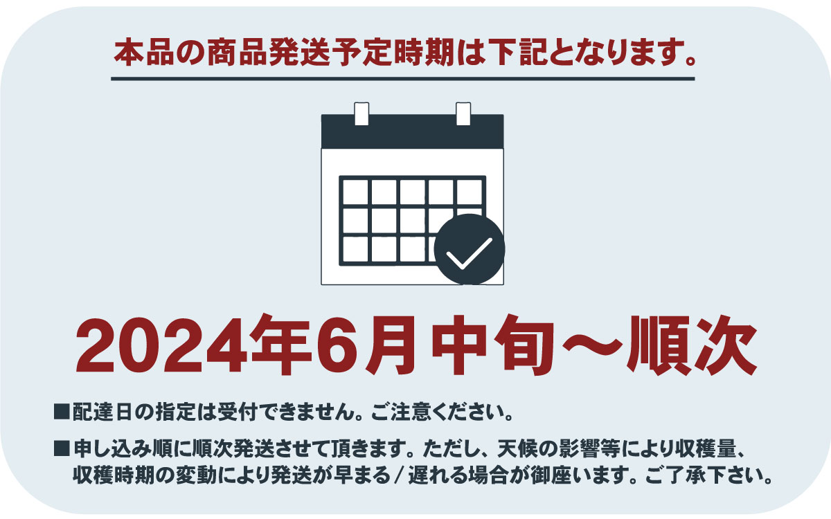 【ふるさと納税】朝もぎ直送！『桃 白鳳系』5～8玉 【高機能共選機使用】選び抜かれた桃《もも 先行予約》 / もも 厳選 産地直送 贈答 贈り物 6月