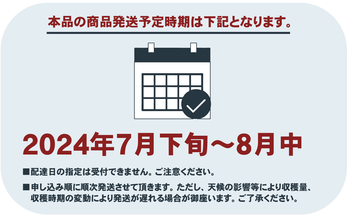 【ふるさと納税】朝もぎ直送「桃 白桃系」5～8玉【発送時期2024年】【高機能共選機使用】選び抜かれた桃《もも 先行予約》