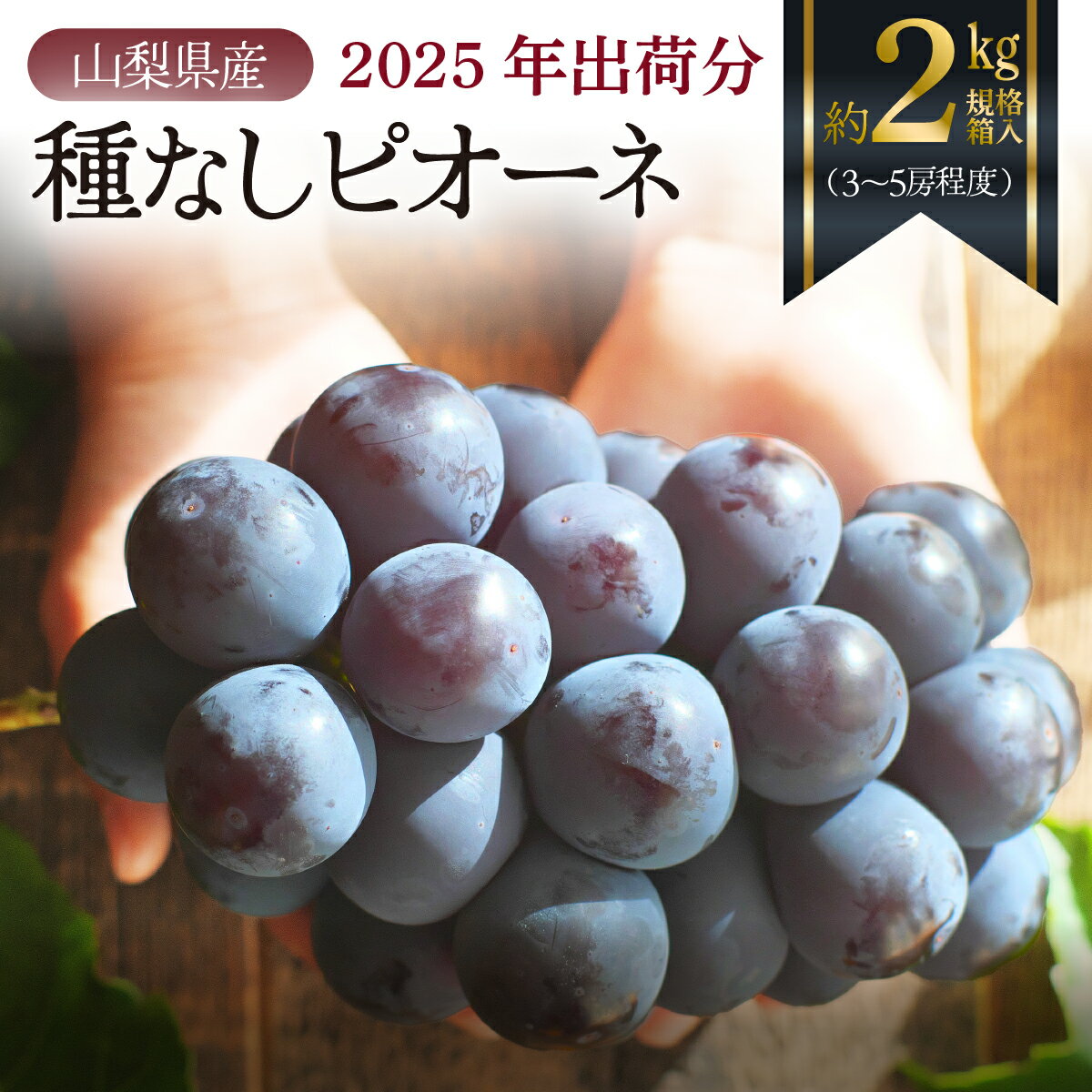 【ふるさと納税】 【2025年先行予約】朝もぎ直送！『種なしピオーネ』3〜5房（約2kg規格箱入り）《ぶどう 先行予約》産地直送 フルーツ 果物 甘い 旬 新鮮 朝採れ ジューシー 種無し 種なしぶどう 送料無料 山梨 やまなし 歴史と伝統を受け継ぐ達人のこだわり葡萄