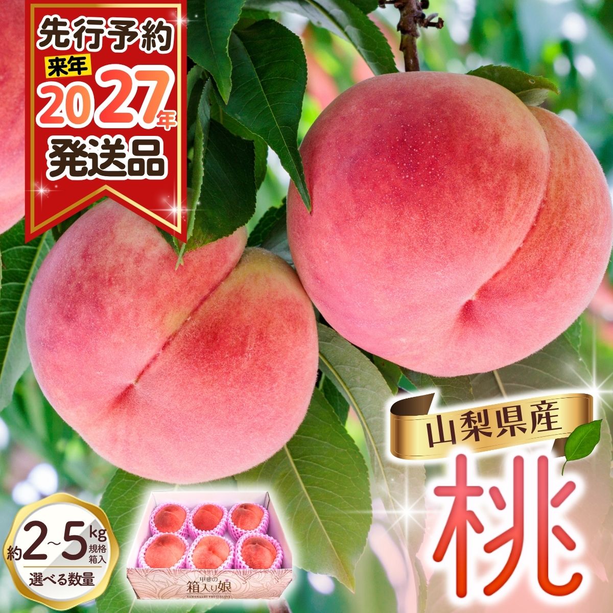 [2027年出荷分 先行予約] 朝もぎ直送!『山梨県産 桃』選べる容量 約2kg・5kg規格箱入り 白鳳 白桃 [高機能共選機使用]選び抜かれた桃[もも 先行予約] 山梨県産 モモ/ フルーツ 果物 くだもの 甘い 人気 産地直送/厳選 贈答 贈り物