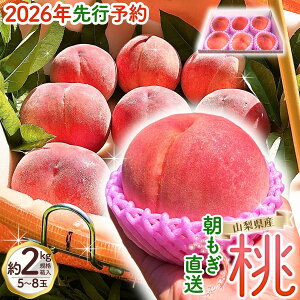 【ふるさと納税】【来年2026年出荷分 先行予約】朝もぎ直送!『山梨県産 桃』 約2kg規格箱入り 【高機能共選機使用】選び抜かれた山梨の桃《もも 先行予約》山梨県産 モモ/ おいしい 糖度センサー フルーツ 果物 くだもの 人気 産地直送/厳選 贈答 贈り物