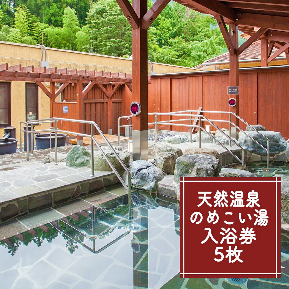 16位! 口コミ数「2件」評価「5」【1年間有効】のめこい湯温泉ご優待券 5枚