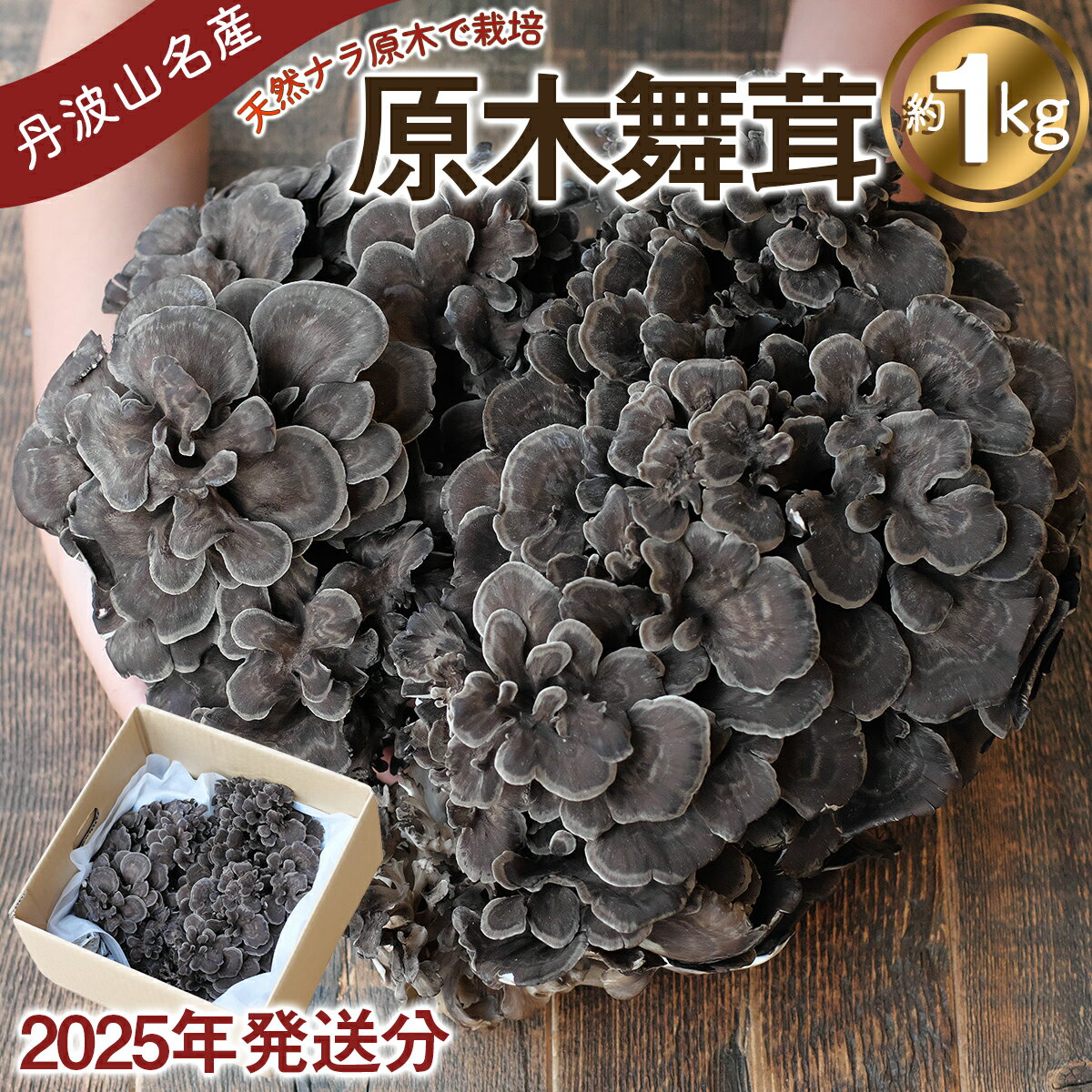 [2025年発送分 先行予約] 丹波山村産 原木舞茸 約1kg 2025年9月下旬より順次発送予定 / 丹波山名産 希少 無農薬 無添加 舞茸 まいたけ マイタケ 原木栽培 きのこ キノコ 産地直送