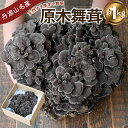 【ふるさと納税】 【2025年発送分 先行予約】 丹波山村産 原木舞茸 約1kg 2025年9月下旬より順次発送予定 / 丹波山名産 希少 無農薬 無添加 舞茸 まいたけ マイタケ 原木栽培 きのこ キノコ 産地直送