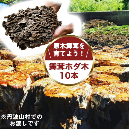 【村に取りに来られる方限定】丹波山村の原木舞茸のほだ木販売 10本 原木舞茸を自分で育ててみませんか