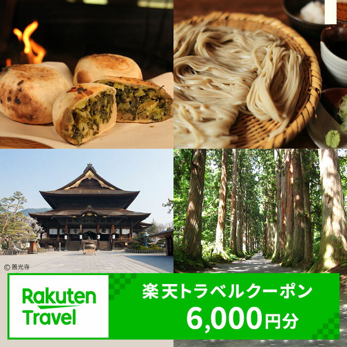 長野県長野市の対象施設で使える 楽天トラベルクーポン 寄付額20,000円(クーポン 6,000円) [チケット]