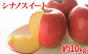 【ふるさと納税】【2019年度産】シナノスイート家庭用10k...