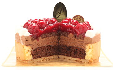 【ふるさと納税】ヴァルトベーレ木苺チョコレートケーキ 20cm ※配送不可期間あり おいしい お取り寄せ けーき ギフトご当地 スイーツ 【お菓子・スイーツ・チョコレートケーキ・木苺チョコレートケーキ・デザート・洋菓子】