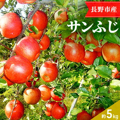 【ふるさと納税】【2021年12月〜3月発送 先行予約】長野市産サンふじ家庭用 5kg 矢島農園 りんご フルーツ　【果物類・林檎・りんご・リンゴ・サンふじ】　お届け：2021年12月10日〜2022年3月22日･･･