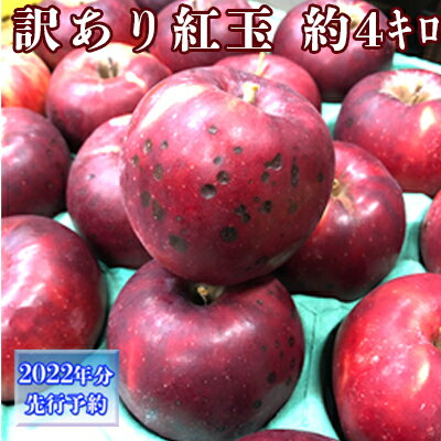 【ふるさと納税】【2022年9月〜10月発送 先行予約】長野市産　訳あり紅玉　約4キロ　【果物類・林檎・りんご・リンゴ・フルーツ・訳あり・紅玉・約4kg】　お届け：2022年9月下旬〜2022年10月中旬･･･