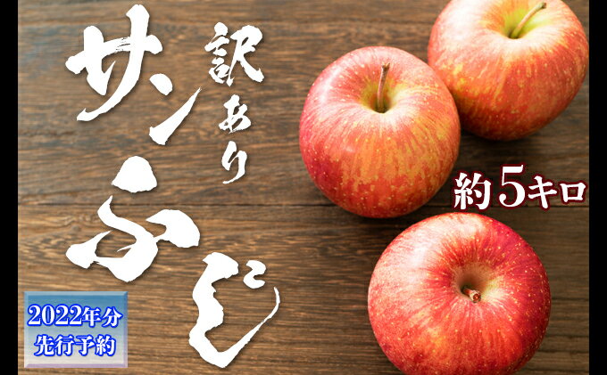 【ふるさと納税】【2022年12月〜2023年3月発送 先行予約】長野市産　訳ありサンふじ　約5キロ　【果物類・林檎・りんご・リンゴ・フルーツ・訳あり・サンふじ・約5kg】　お届け：2022年12月上旬〜2023年3月中旬