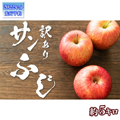 【ふるさと納税】【2022年12月〜2023年3月発送 先行予約】長野市産　訳ありサンふじ　約5キロ　【果物類・林檎・りんご・リンゴ・フルーツ・訳あり・サンふじ・約5kg】　お届け：2022年12月上旬〜2023年3月中旬