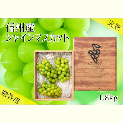 【2022年先行予約】<贈答用>信州産シャインマスカット 約1.8kg(2〜3房)9月中旬〜11月上旬 随時発送 【果物類・ぶどう・マスカット・フルーツ・果物・信州産・シャインマスカット・約1.8kg】 お届け:2022年9月中旬〜11月上旬
