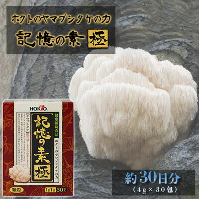 ホクトのヤマブシタケの力 記憶の素 極 きのこ 茸 キノコ サプリ