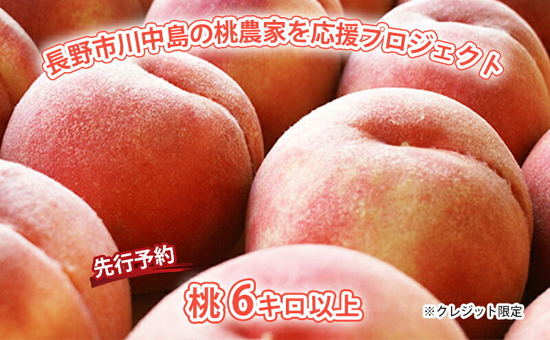 【ふるさと納税】【先行予約】長野市川中島の桃農家を応援プロジェクト 2025年配送！桃6キロ以上 ※クレジット限定 果物／もも モモ 　お届け：2026年7月下旬～8月下旬