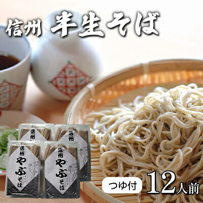 【ふるさと納税】半生そば12人前　つゆ付 信州 ギフト ご当地 グルメ セット　【麺類／そば・蕎麦／生・半生めん・ソバ】のサムネイル