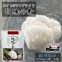 【ふるさと納税】ホクトのヤマブシタケ 記憶の素 《 6ヵ月連続お届け 》 健康加工食品 定期便