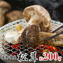【ふるさと納税】長野市収穫 松茸 約200g(2~3本) 野菜 きのこ まつたけ お届け:2025年8月下旬~11月上旬