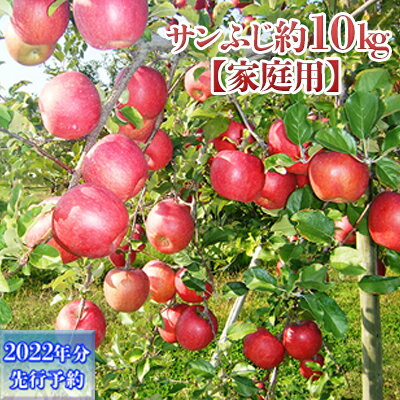 【ふるさと納税】【2022年12月〜2月発送】長野市産サンふじ家庭用 約10kg　※オンライン決済限定　【果物類・林檎・りんご・リンゴ】　お届け：2022年12月10日〜2023年2月28日･･･