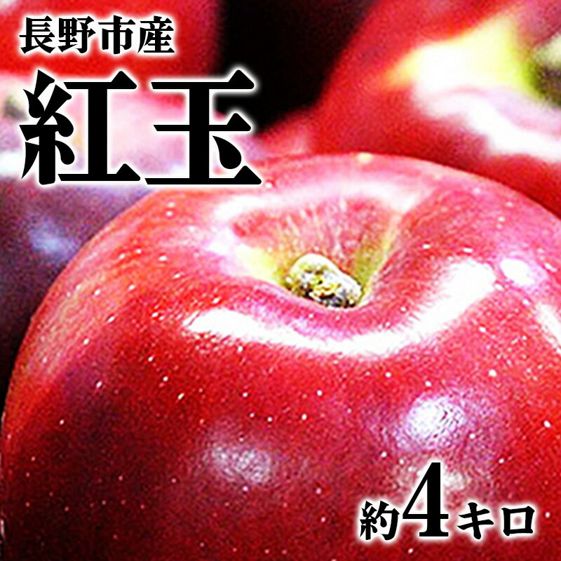 【ふるさと納税】【2023年9〜10月発送 先行予約】長野市産　紅玉　約4キロ　【果物類・林檎・りんご・リンゴ・紅玉・約4kg・フルーツ】　お届け：2023年9月下旬〜2023年10月中旬･･･