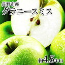 【ふるさと納税】【2023年10月順次発送 先行予約】長野市産　グラニースミス　約4.5キロ　【果物類・林檎・りんご・リンゴ・グラニースミス・約4.5kg・フルーツ】　お届け：2023年10月下旬～2024年3月中旬･･･