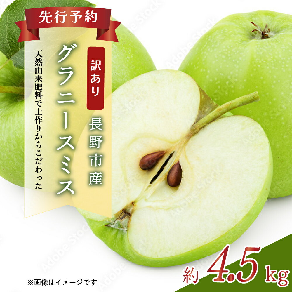 【ふるさと納税】【2023年10月順次発送 先行予約】長野市産　訳ありグラニースミス　約4.5キロ　【果物類・林檎・りんご・リンゴ・フルーツ・訳あり・グラニースミス・約4.5kg】　お届け：2023年10月下旬〜2024年3月中旬のサムネイル