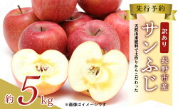 【ふるさと納税】【2023年12月～2024年3月発送 先行予約】 訳あり りんご 長野市産 サンふじ 約 5kg　【 長野 果物 林檎 リンゴ フルーツ サンフジ 5キロ 】　お届け：2023年12月上旬～2024年3月中旬･･･ 画像1