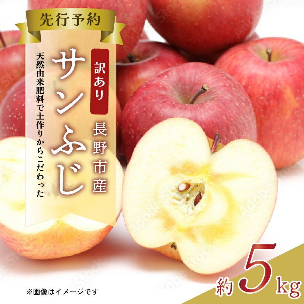 【ふるさと納税】【2023年12月～2024年3月発送 先行予約】 訳あり りんご 長野市産 サンふじ 約 5kg　【 長野 果物 林檎 リンゴ フルーツ サンフジ 5キロ 】　お届け：2023年12月上旬～2024年3月中旬･･･