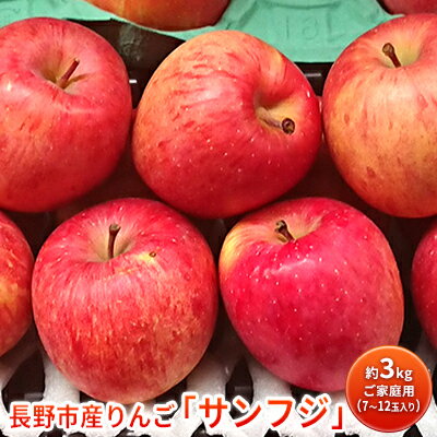 【ふるさと納税】長野市産りんご「サンフジ」約3kg　ご家庭用(7～12玉入り)※配送不可地域あり　【果物類 林檎 りんご リンゴ ギフト ふじ フジ 】　お届け：2023年11月25日～2024年2月末日･･･