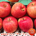 【ふるさと納税】長野市産りんご「サンフジ」約5kg　ご家庭用※配送不可地域あり　【果物類 林檎 りんご リンゴ ギフト ふじ フジ 】　お届け：2022年11月25日〜2023年2月末日･･･