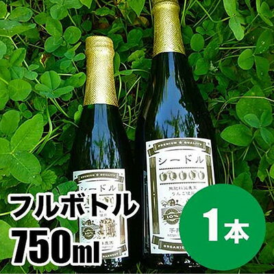 シードルフルボトル 750ml お酒 洋酒 スパークリングワイン リンゴ フルーツ