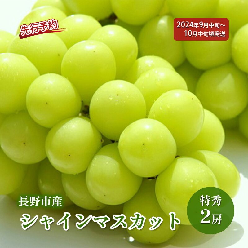 【ふるさと納税】ぶどう 先行予約 長野市産 シャインマスカット 特秀 2房 葡萄 ブドウ フルーツ 果物 シャイン マスカット デザート おやつ 信州 2024年秋発　【 長野市 】　お届け：2024年9月中旬～10月下旬･･･