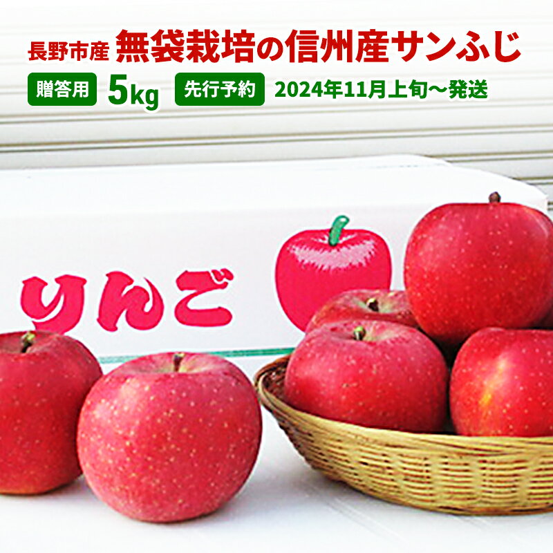 先行予約 長野市産無袋栽培の信州産サンふじ5kg（贈答用）2024年発送　【 果物 フルーツ デザート 食後 おやつ 果汁豊富 甘み 酸味 バランス 歯ごたえ 長野県産 信州のリンゴ 】　お届け：2024年11月上旬～12月上旬