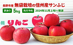 【ふるさと納税】先行予約 長野市産無袋栽培の信州産サンふじ5kg（訳あり）2024年発送　【 果物 フルーツ デザート 食後 おやつ 果汁豊富 甘み 酸味 バランス 歯ごたえ 長野県産 信州のリンゴ 】　お届け：2024年11月上旬～12月上旬･･･ 画像1