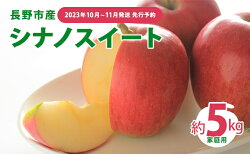 【ふるさと納税】先行予約 長野市産シナノスイート家庭用 約5kg 2023年10月〜11月発送 ※オンライン決済限定　【 果物 フルーツ デザート 食後 おやつ 長野県産 信州 甘い 交配品種 酸味が少ない りんご 】　お届け：2023年10月15日〜11月10日･･･ 画像1