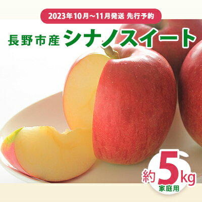 【ふるさと納税】先行予約 長野市産シナノスイート家庭用 約5kg 2023年10月〜11月発送 ※オンライン決済限定　【 果物 フルーツ デザート 食後 おやつ 長野県産 信州 甘い 交配品種 酸味が少ない りんご 】　お届け：2023年10月15日〜11月10日のサムネイル