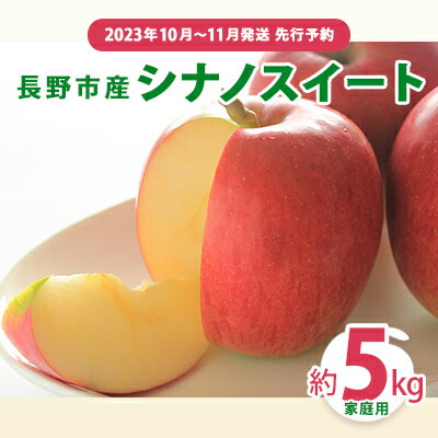 【ふるさと納税】先行予約 長野市産シナノスイート家庭用 約5kg 2023年10月〜11月発送 ※オンライン決済限定　【 果物 フルーツ デザート 食後 おやつ 長野県産 信州 甘い 交配品種 酸味が少ない りんご 】　お届け：2023年10月15日〜11月10日･･･