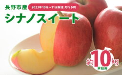 【ふるさと納税】【2023年10月〜11月発送 先行予約】長野市産シナノスイート家庭用 約10kg　※オンライン決済限定　【 果物 フルーツ デザート 食後 おやつ 長野県産 信州 甘い 交配品種 酸味が少ない りんご 】　お届け：2023年10月15日〜11月10日･･･ 画像1