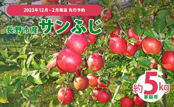 【ふるさと納税】先行予約 長野市産サンふじ家庭用 約5kg 2023年12月〜3月発送 ※オンライン決済限定　【 果物 フルーツ デザート 食後 おやつ 長野県産 信州 りんご 代表品種 濃厚 】　お届け：2023年12月10日〜2024年3月22日･･･ 画像1