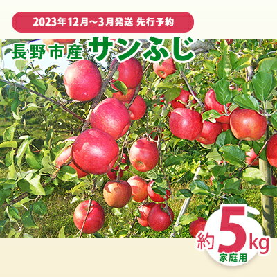 【ふるさと納税】先行予約 長野市産サンふじ家庭用 約5kg 2023年12月〜3月発送 ※オンライン決済限定　【 果物 フルーツ デザート 食後 おやつ 長野県産 信州 りんご 代表品種 濃厚 】　お届け：2023年12月10日〜2024年3月22日･･･