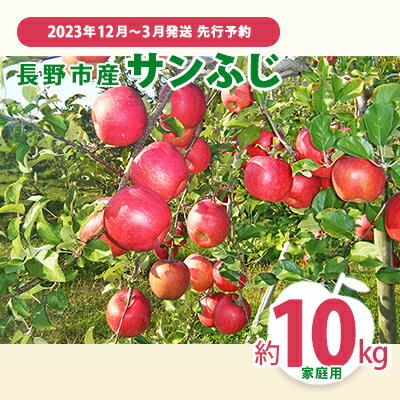 【ふるさと納税】先行予約 長野市産サンふじ家庭用 約10kg 2023年12月〜2月発送　※オンライン決済限定　【 果物 フルーツ デザート 食後 おやつ 長野県産 信州 りんご 代表品種 濃厚 】　お届け：2023年12月10日〜2024年2月28日･･･