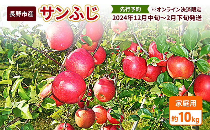 【ふるさと納税】先行予約 長野市産サンふじ家庭用 約10kg 2024年12月～2月発送　※オンライン決済限定　【 果物 フルーツ デザート 食後 おやつ 長野県産 信州 りんご 代表品種 濃厚 】　お届け：2024年12月10日～2025年2月28日