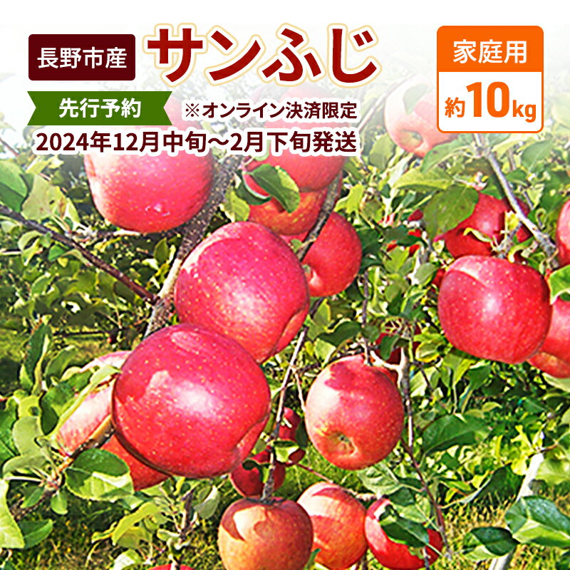 【ふるさと納税】先行予約 長野市産サンふじ家庭用 約10kg 2024年12月～2月発送　※オンライン決済限定...