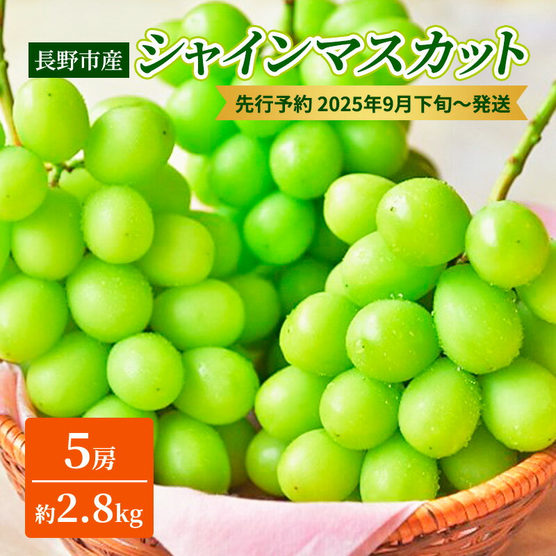 【ふるさと納税】ぶどう 先行予約 長野市産 シャインマスカット 5房 約2.8kg 朝採り 葡萄 ブドウ フルーツ 果物 シャイン マスカット デザート おやつ 信州 2024年秋発　【 長野市 】　お届け：2024年9月下旬～10月上旬のサムネイル