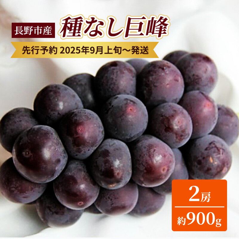 【ふるさと納税】ぶどう 先行予約 種なし 巨峰 2房 約900g 果物 ブドウ 葡萄 フルーツ デザート おやつ 信州 2025年秋発送 お届け:2025年9月上旬~9月下旬