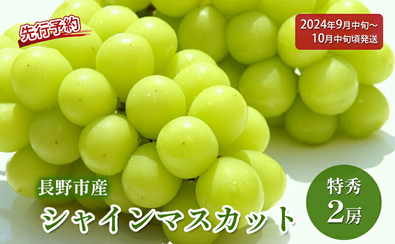 【ふるさと納税】ぶどう 先行予約 長野市産 シャインマスカット 特秀 2房 葡萄 ブドウ フルーツ 果物 シャイン マスカット デザート おやつ 信州 2024年秋発　【 長野市 】　お届け：2024年9月中旬～10月下旬