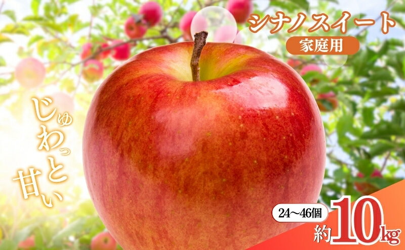 【ふるさと納税】先行予約 長野市産シナノスイート家庭用 約10kg 2025年10月下旬より順次発送 ※オンライン決済限定 果物 フルーツ デザート 食後 おやつ 長野県産 信州 甘い 交配品種 酸味が少ない りんご 　お届け：2026年10月下旬～11月上旬