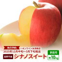 【ふるさと納税】先行予約 長野市産シナノスイート家庭用 約10kg 2024年10月中旬～11月中旬発送 ※オンライン決済限定　【 果物 フルー..