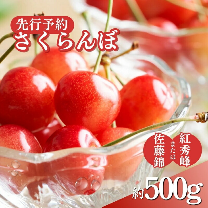 【ふるさと納税】先行予約 さくらんぼ 約500g　2024年6月～7月上旬発送※オンライン決済限定　 果物 フルーツ デザート チェリー 佐藤錦 紅秀峰 　お届け：2024年6月下旬から7月上旬のサムネイル