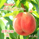 【ふるさと納税】先行予約 桃 約1.8kg 2025年7月下旬より順次発送 オンライン決済限定 白桃 もも モモ フルーツ 果物 くだもの あかつき 川中島白鳳 川中島白桃 旬のフルーツ デザート 限定 信州 長野県 長野 お届け:2025年7月下旬~9月上旬